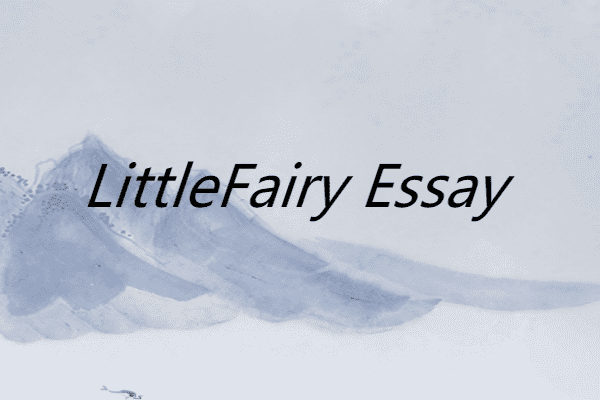 littlefairy essay